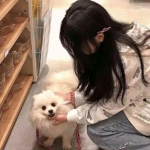 热血三国无双果盘版下载